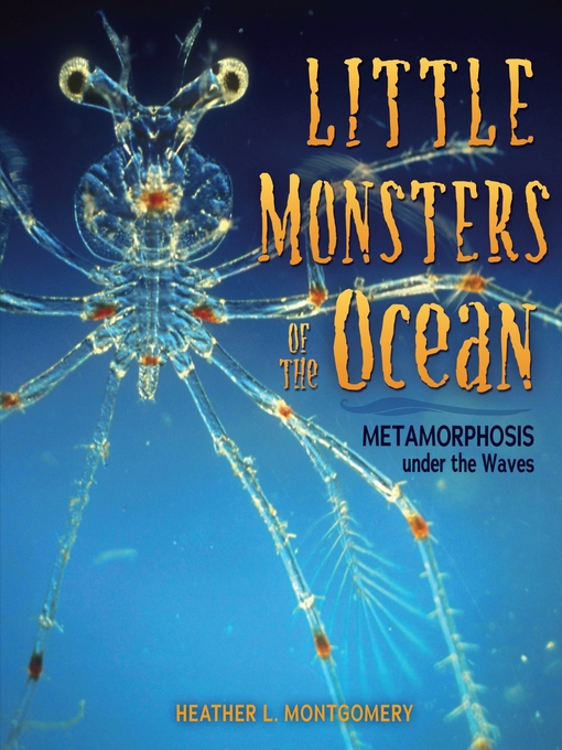 Title details for Little Monsters of the Ocean by Heather L. Montgomery - Available